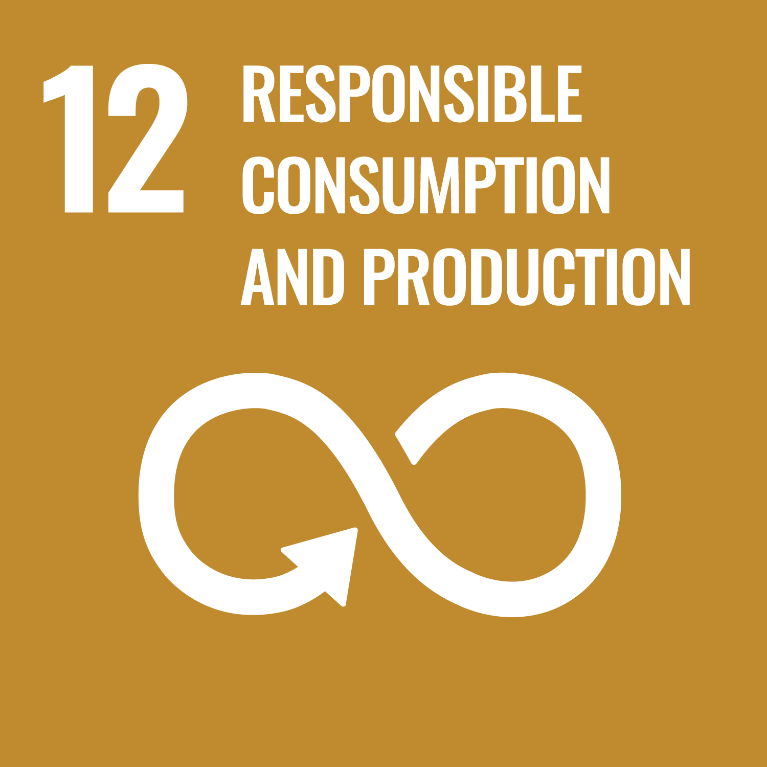 SDG 12: Responsible Consumption